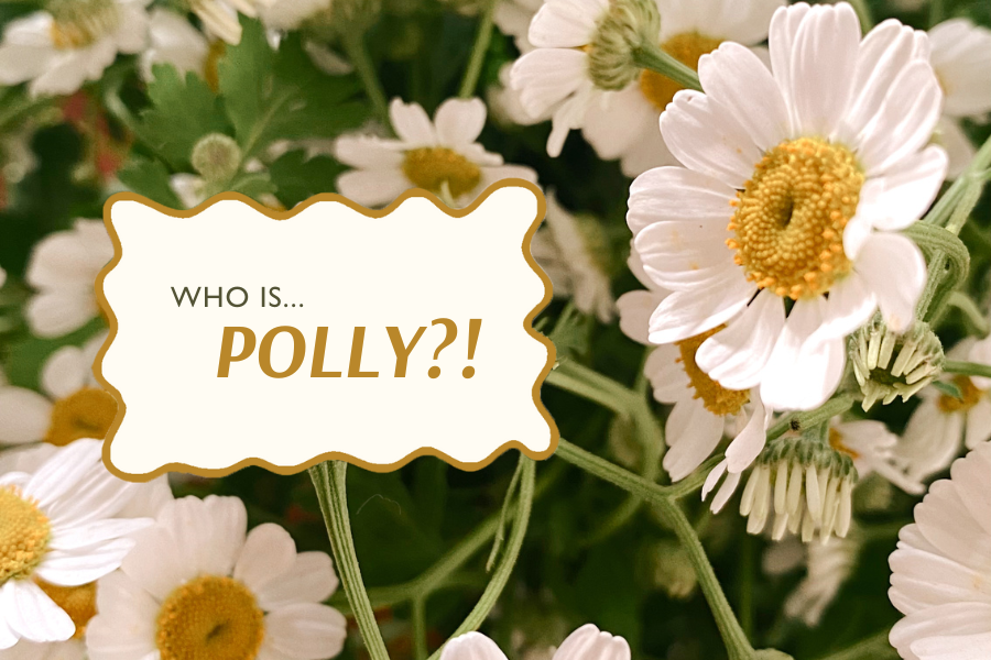 Who is Polly?