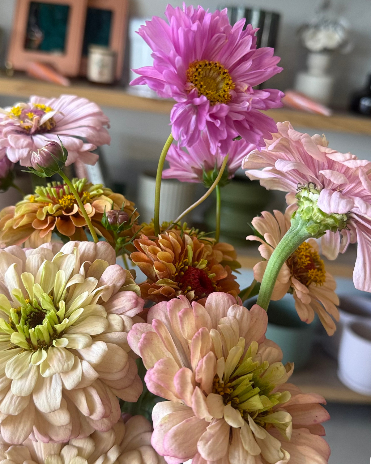 The Flora Bar Jars / Mixed Market Bunch