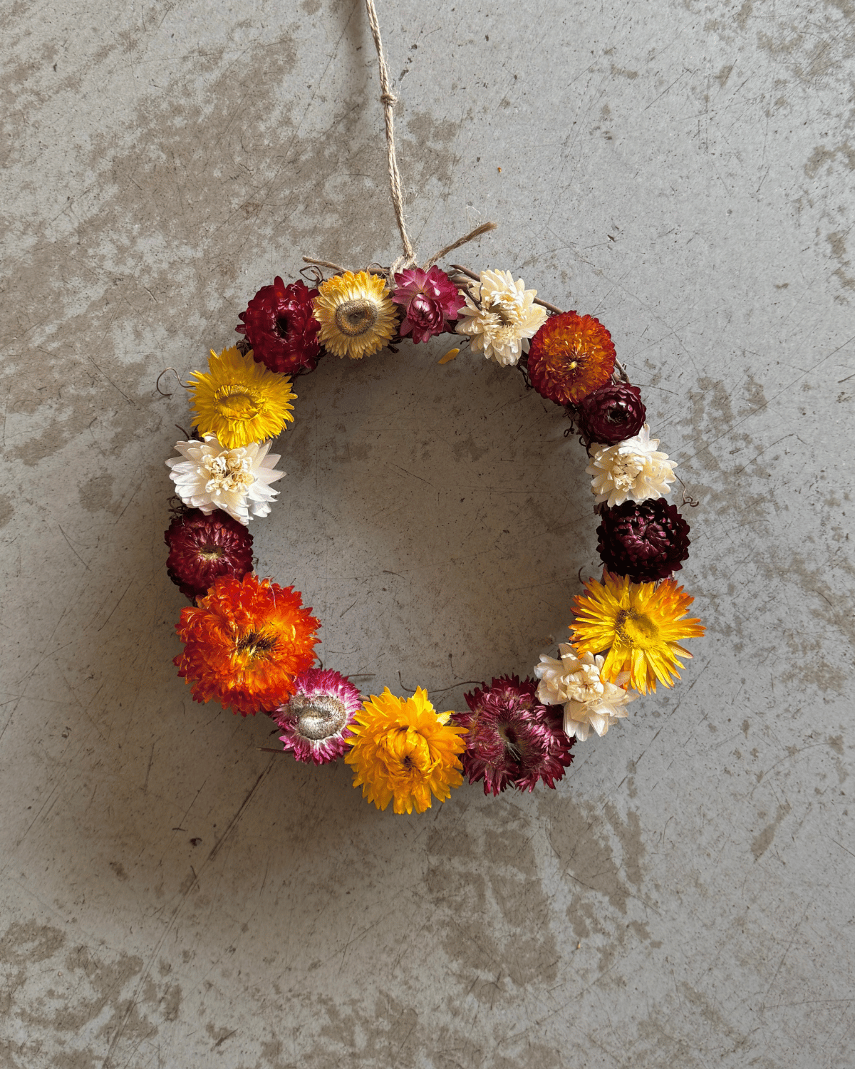 Everlasting Paper Daisy Wreath - Spring Meadow (Small)