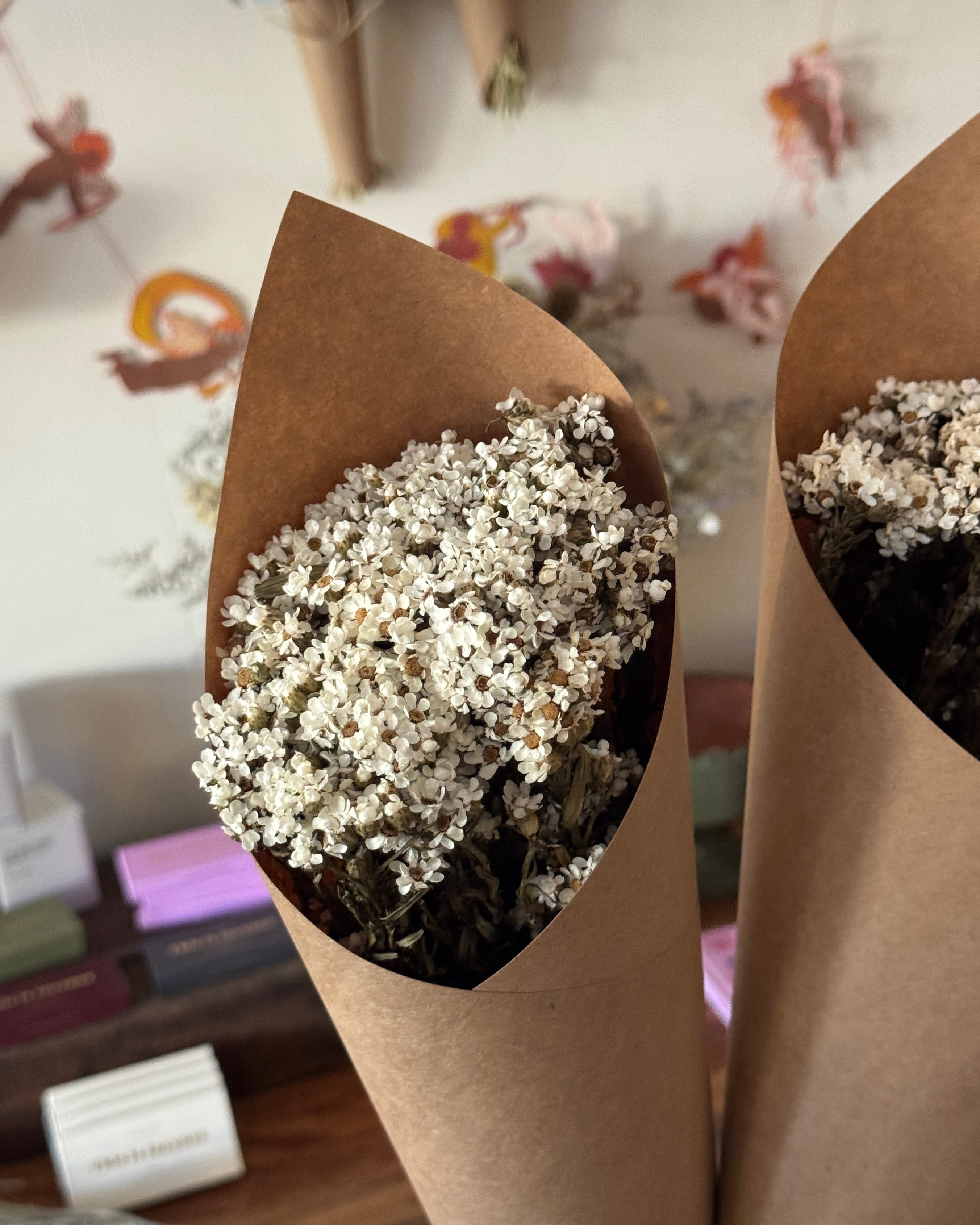 Dried Wax Daisy