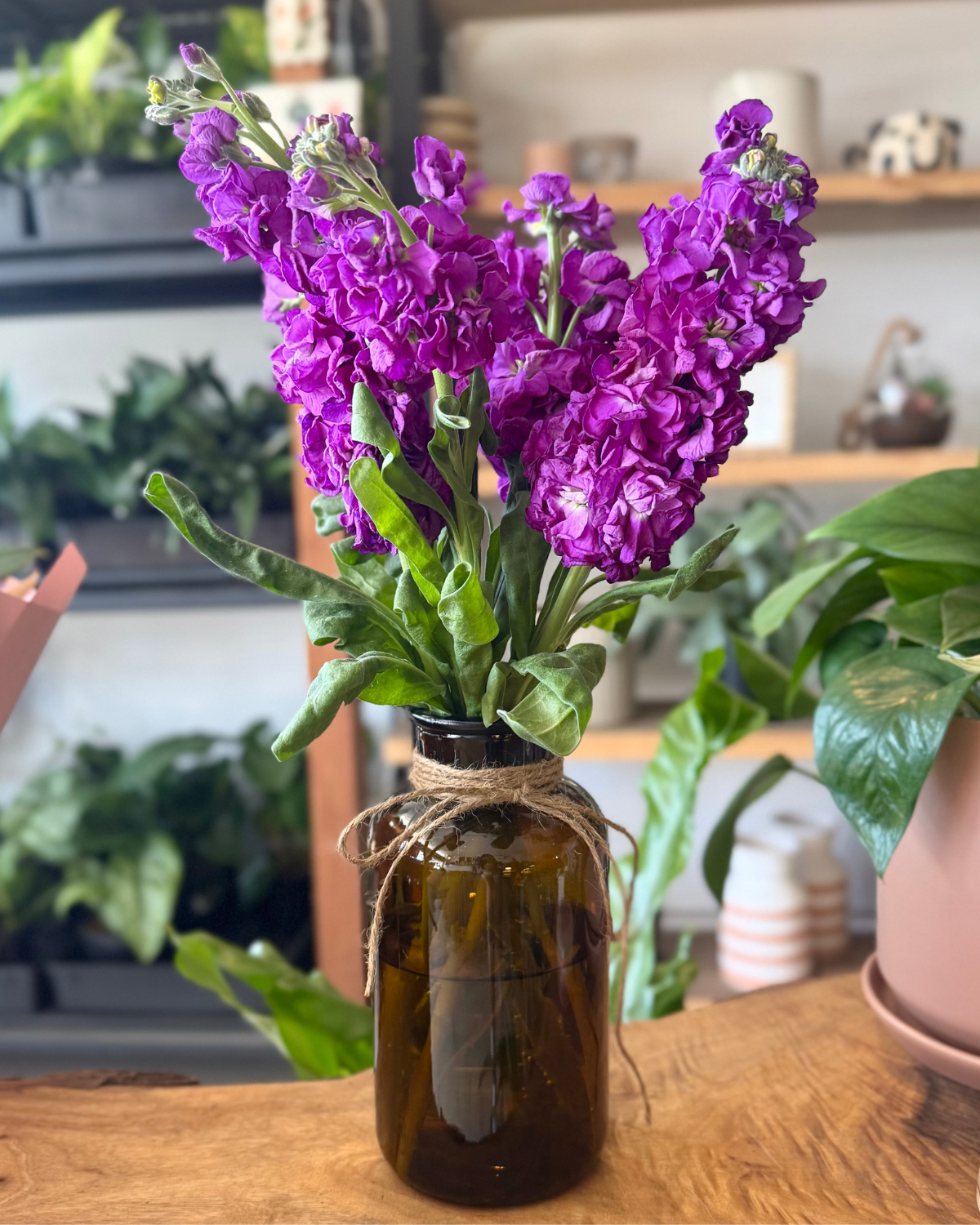 The Flora Bar Jars / Stock