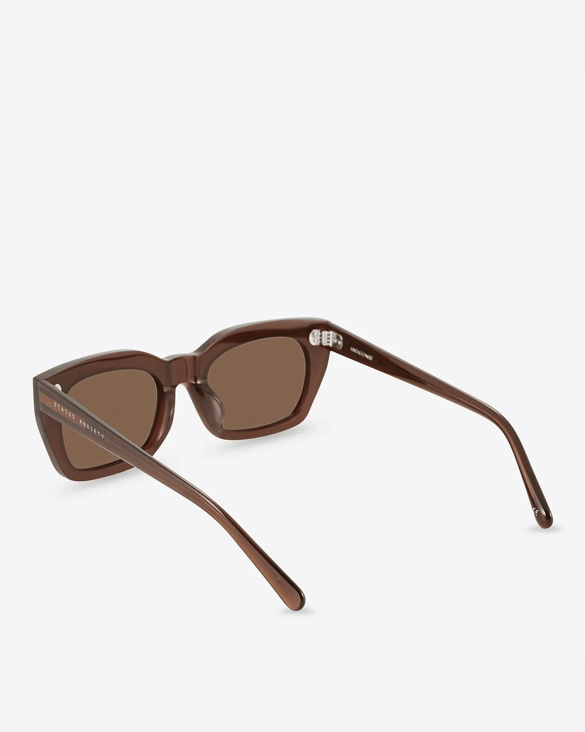 Status Anxiety Antagonist Sunglasses in Brown