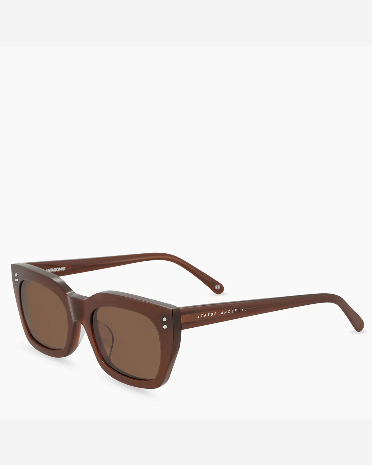 Status Anxiety Antagonist Sunglasses in Brown