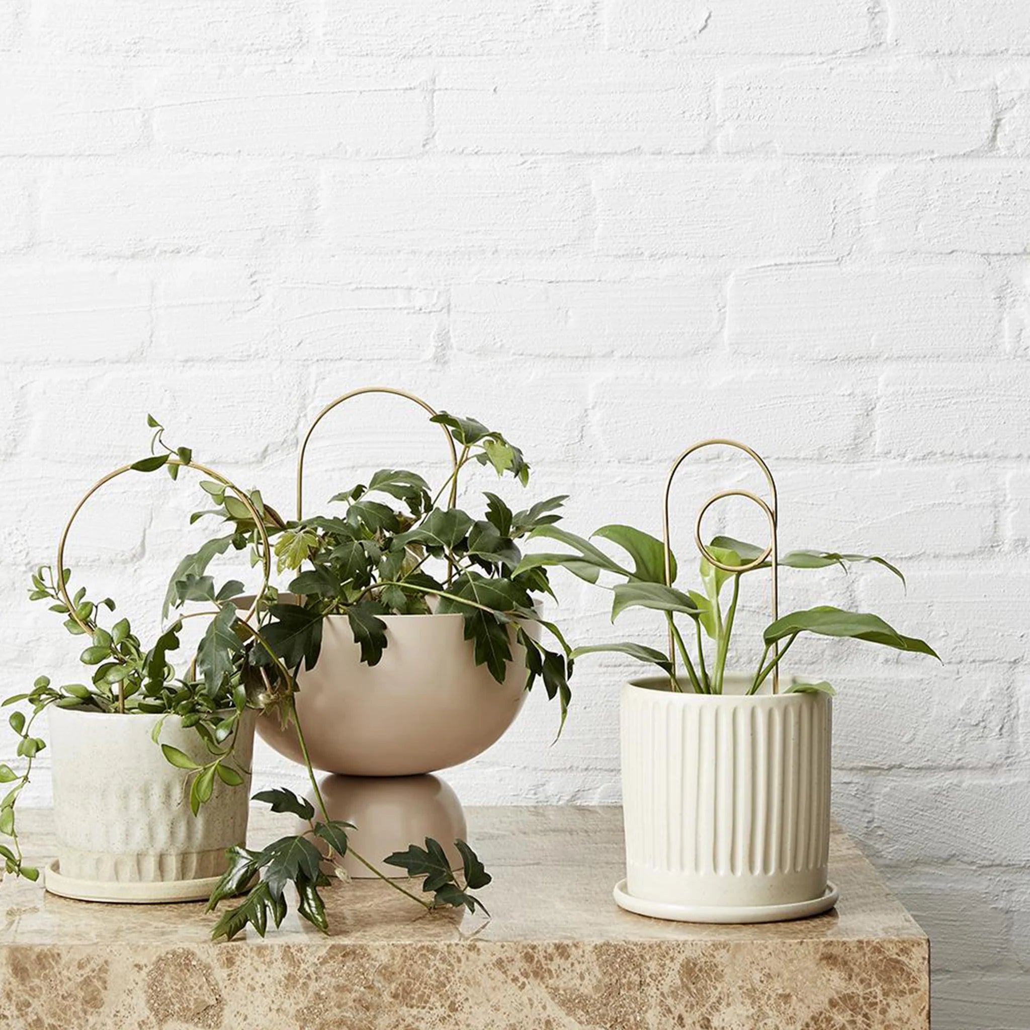 Ivy Muse Brass Plant Stake - Loop