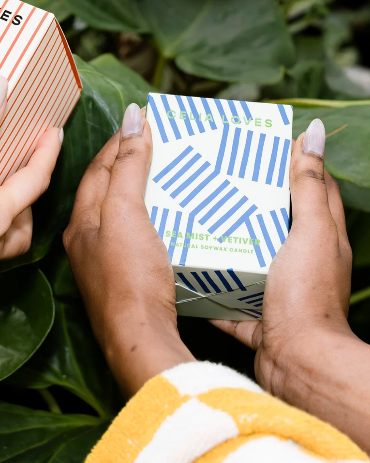 Celia Loves Sea Mist & Vetiver Candle (395gms - 80 hours)