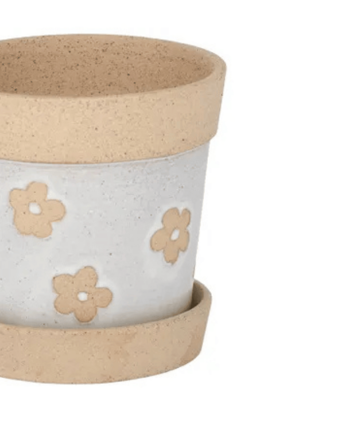 Daisy Planter Pot + Saucer