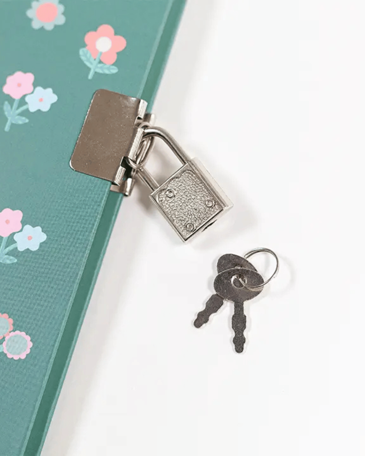 Diary of Flowers by Edicare Editora