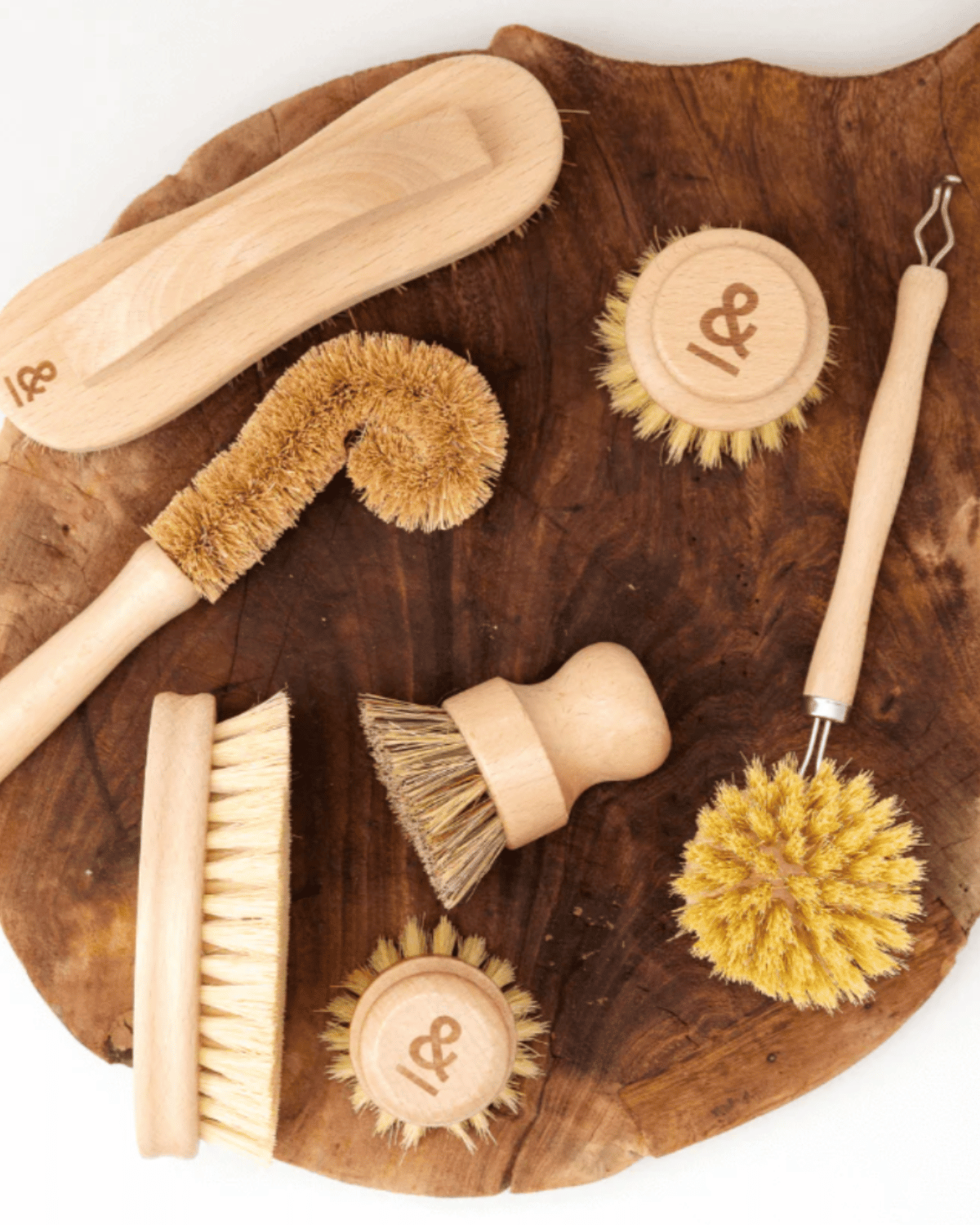 Seed & Sprout Complete Kitchen Cleaning Wooden Brush Set