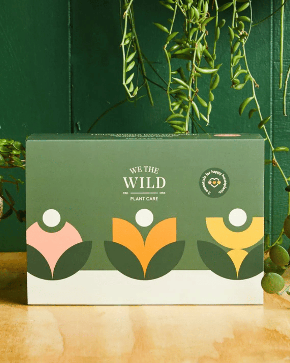 Essential Plant Care Kit by We The Wild -indoor plant fertiliser