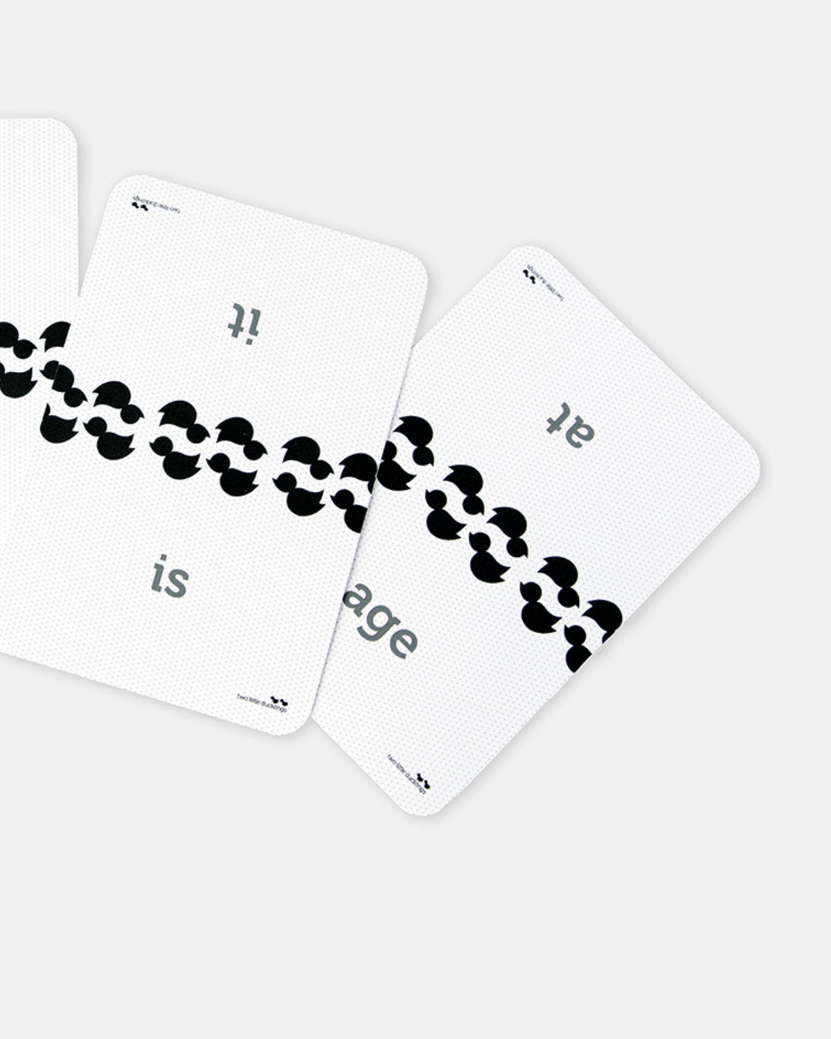 First Reading & Writing Words Flash Cards by Two Little Ducklings