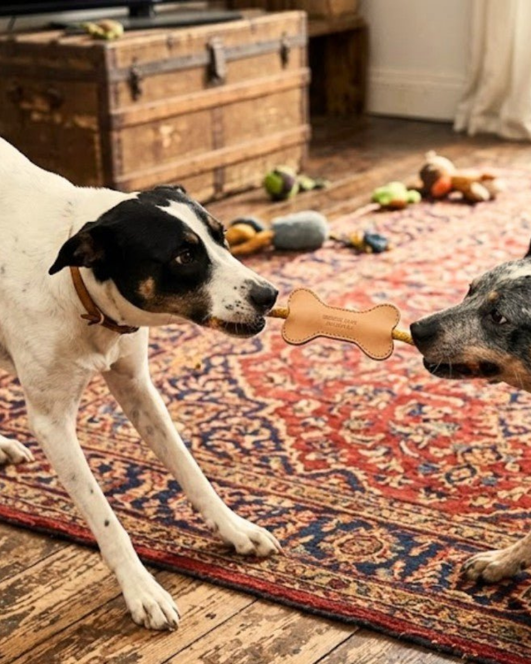 Flora Bone Toy - Natural by Georgie Paws