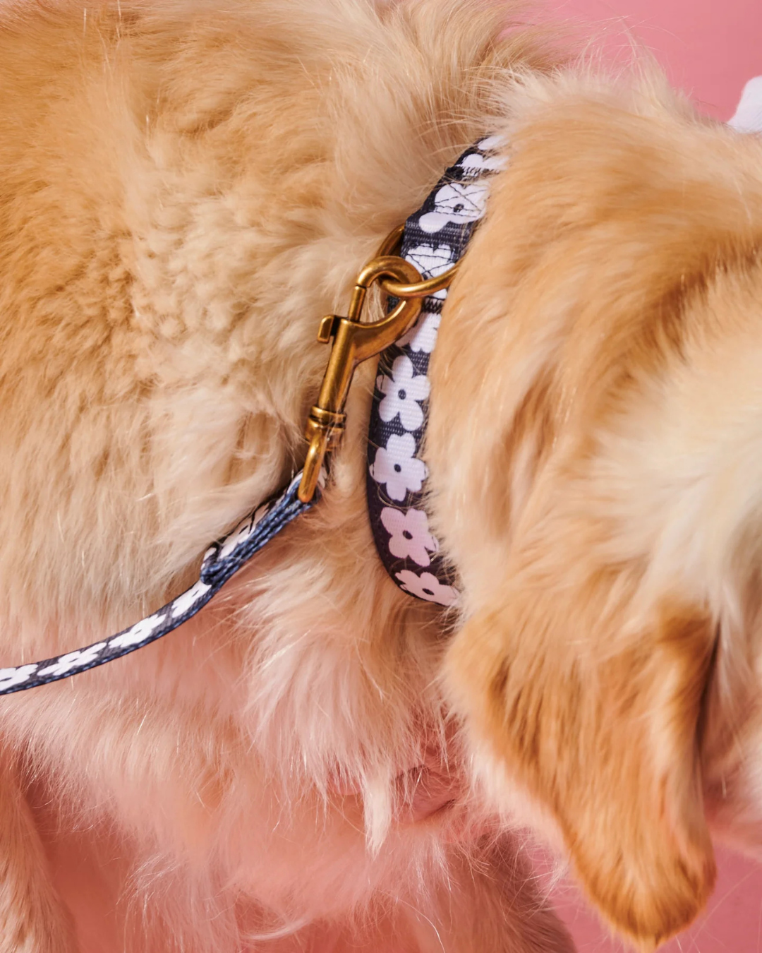 Flower Face Dog Collar by Kip & Co