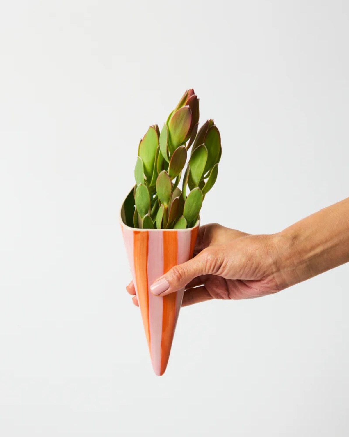 Folly Wall Vase Pink Stripe by Jones & Co