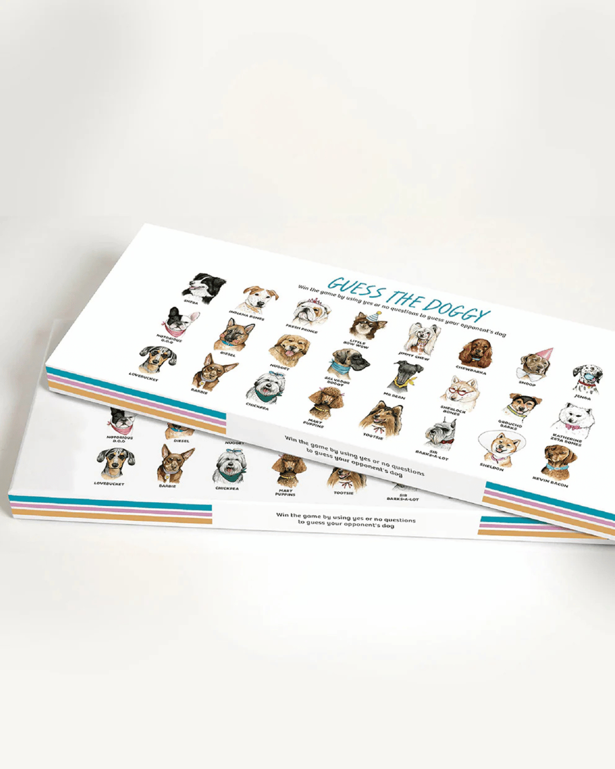 Guess the Doggy Board Game by Journey of Something