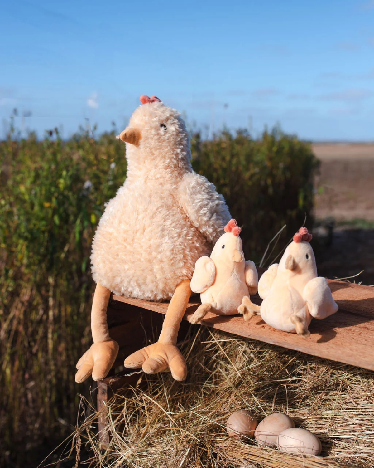 Harriet the Hen - Honey by Nana Huchy