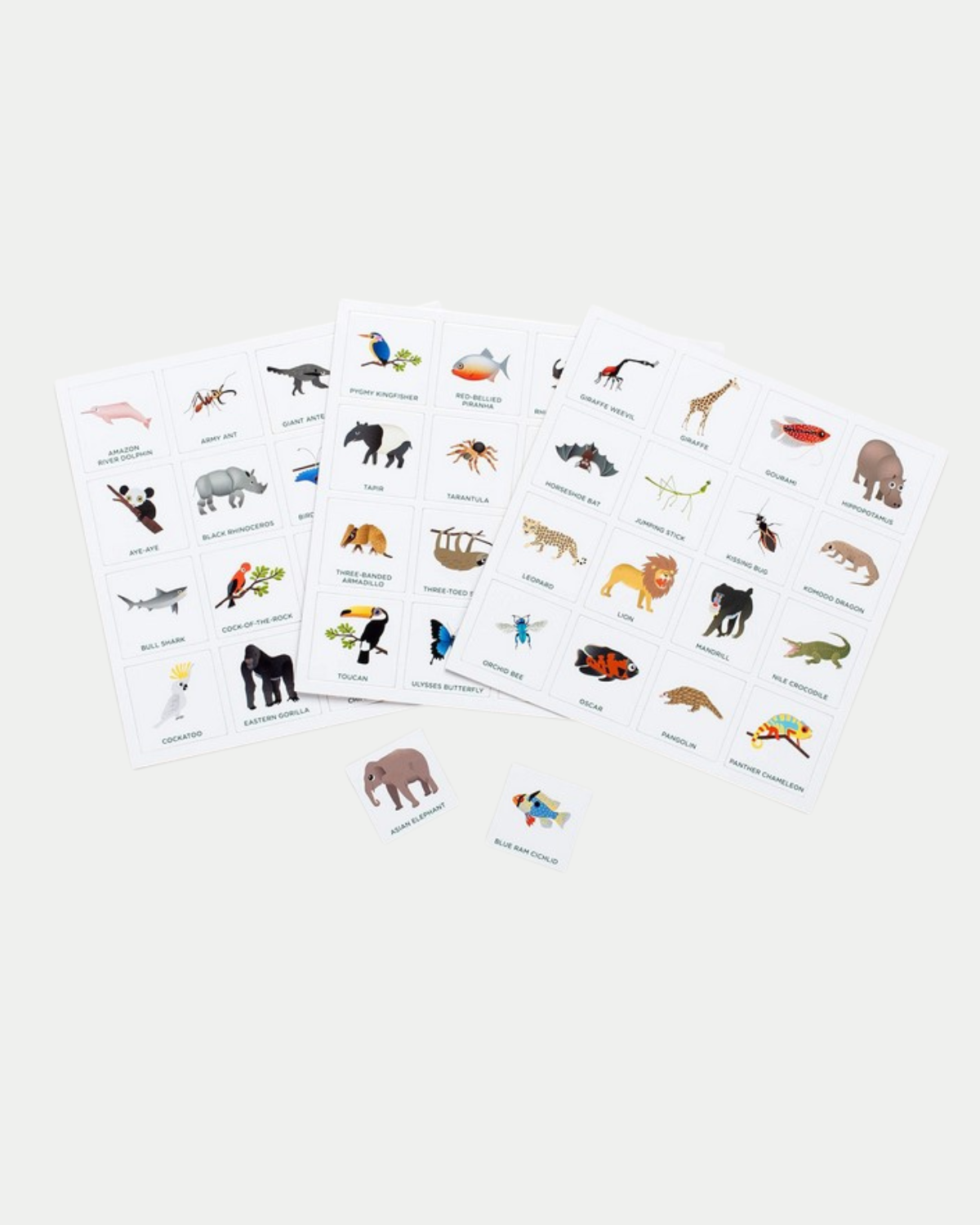 Jungle Bingo Games for Kids