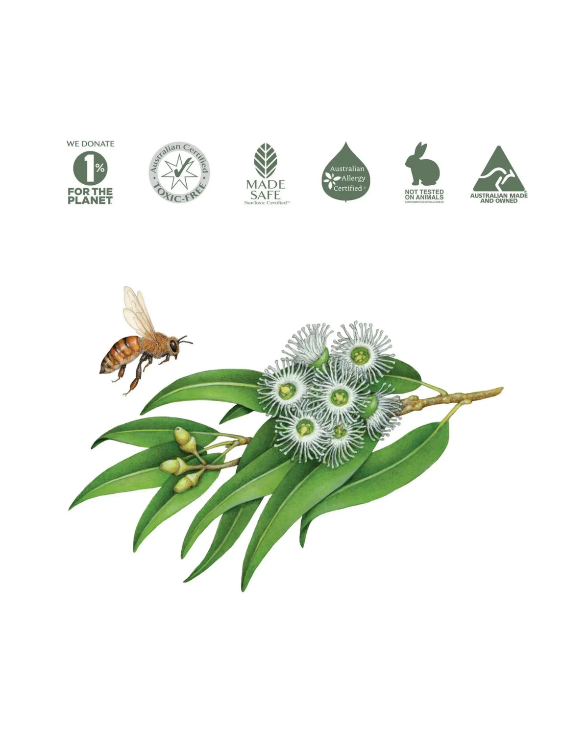 Natural Dish Soap by Koala Eco - Lemon Myrtle & Mandarin (1L Refill).