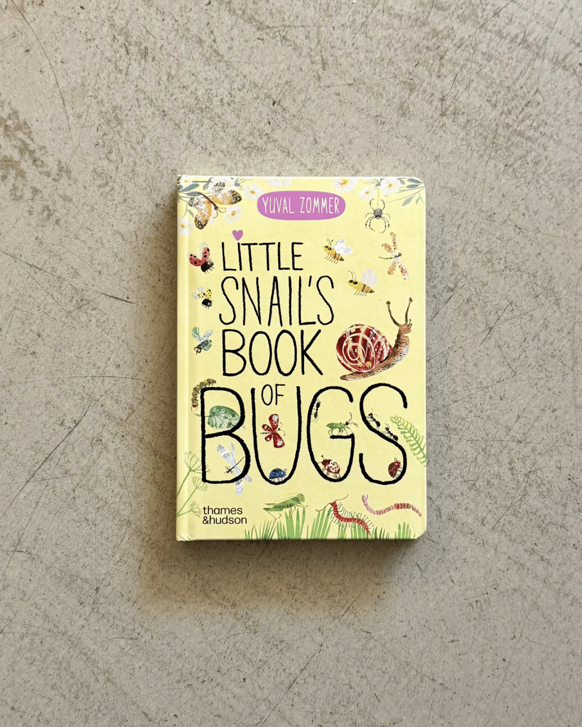 Little Snails Book of Bugs Board Book by Yuval Zommer