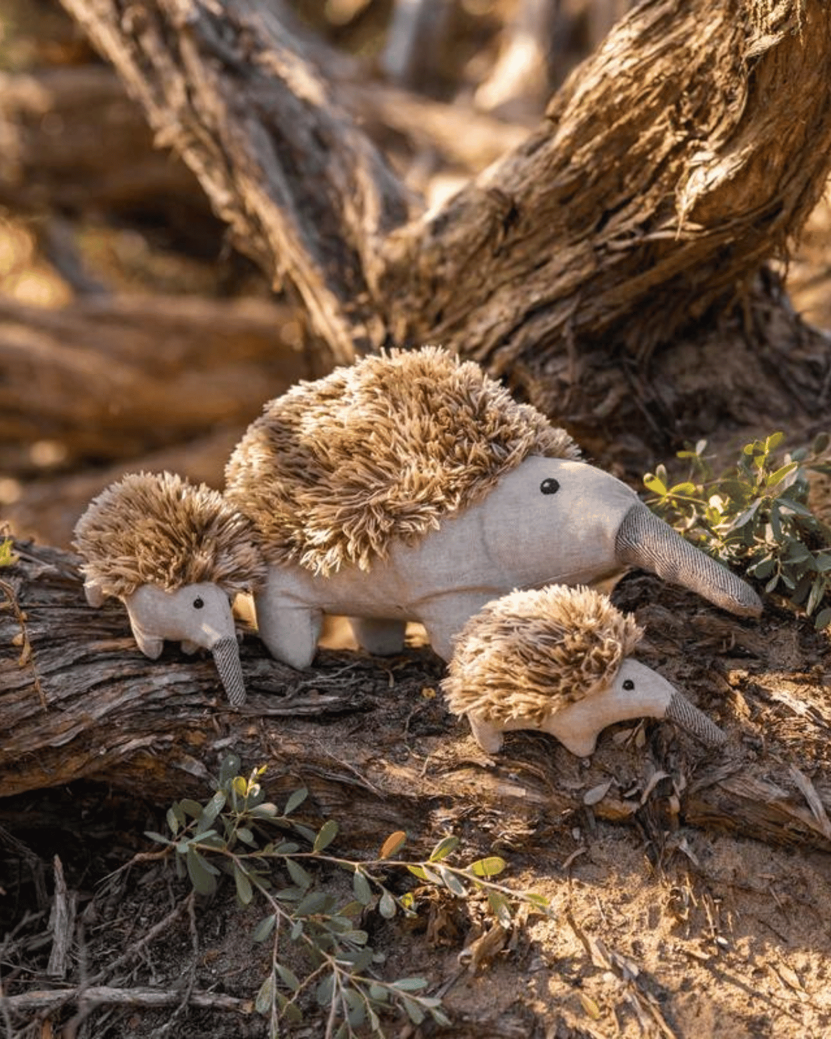 Mini Spike The Echidna Rattle by Nana Huch - Australian Animal Toys