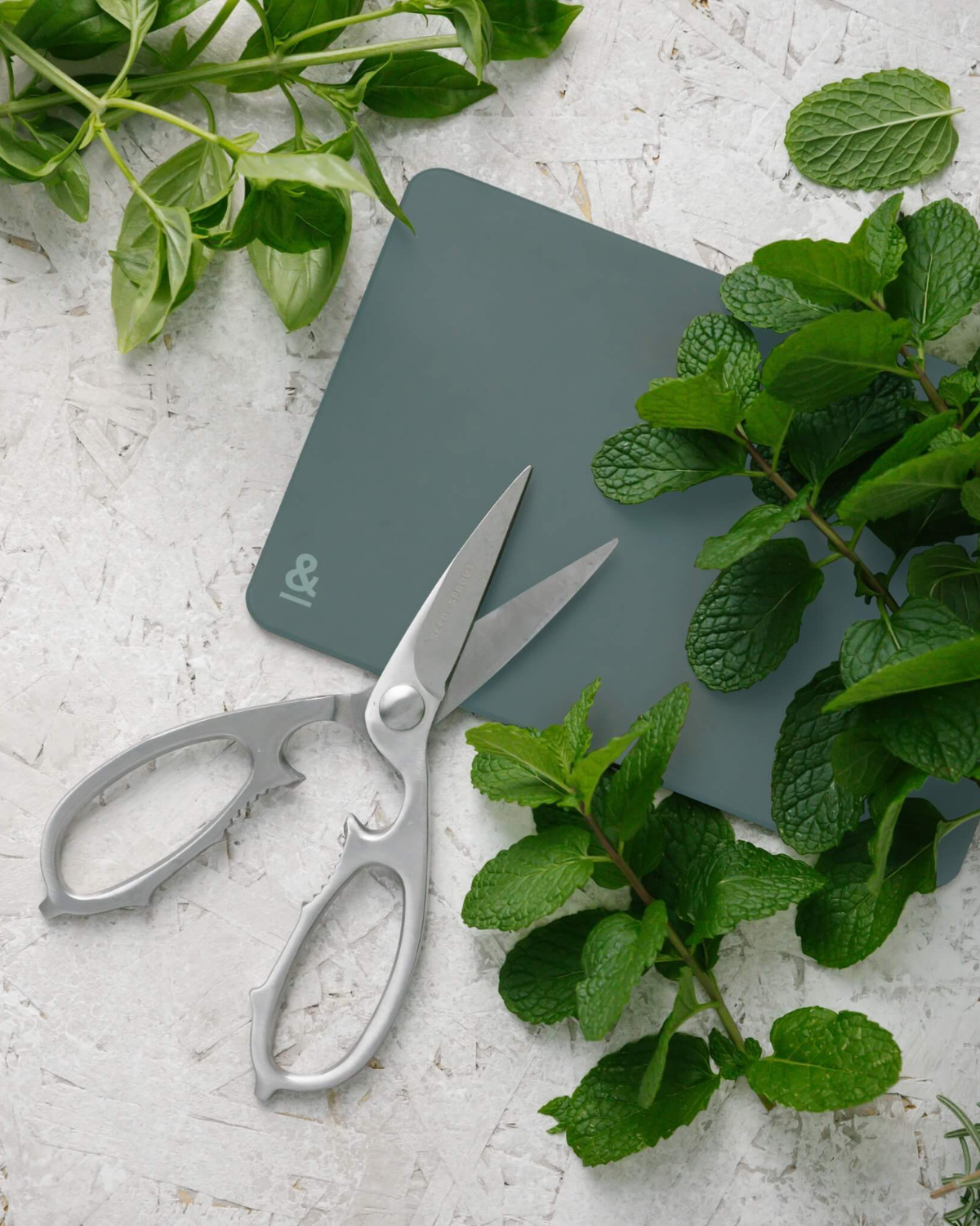 Seed & Sprout Mini Wood Fibre Chopping Board - Eucalyptus (2pk)