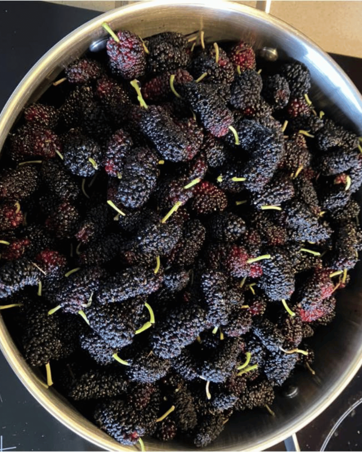 Mulberry Jelly