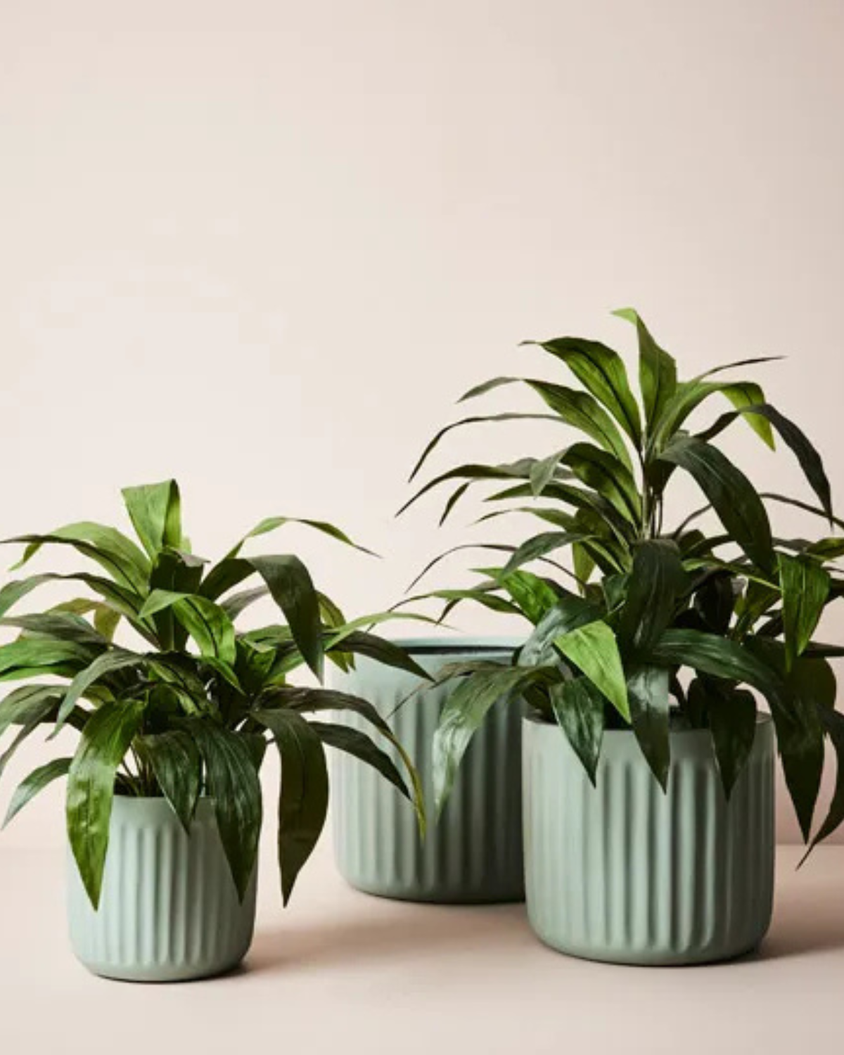 Pleated Pots - Sage (Small, Medium, Large)