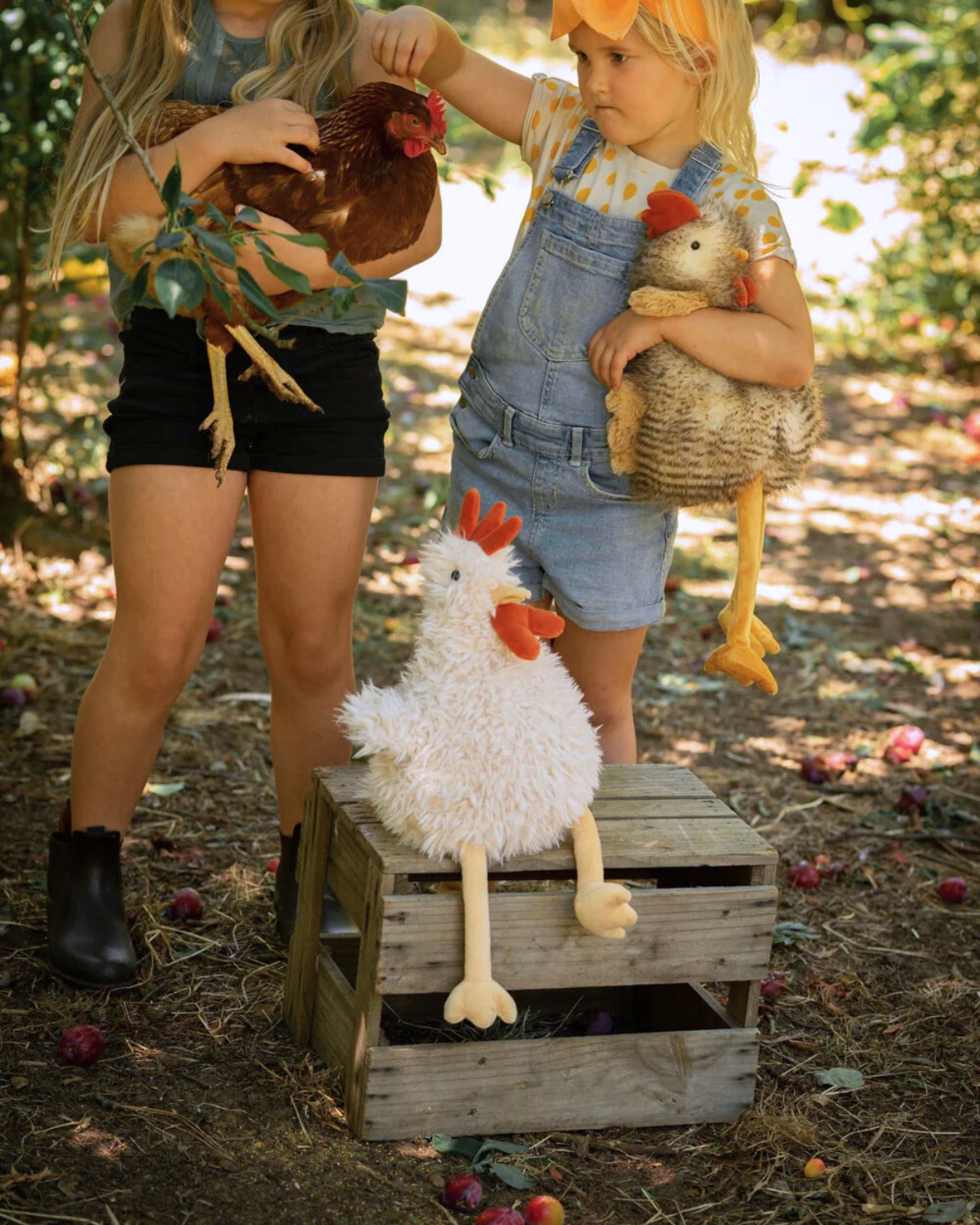 Roy the Rooster by Nana Huchy