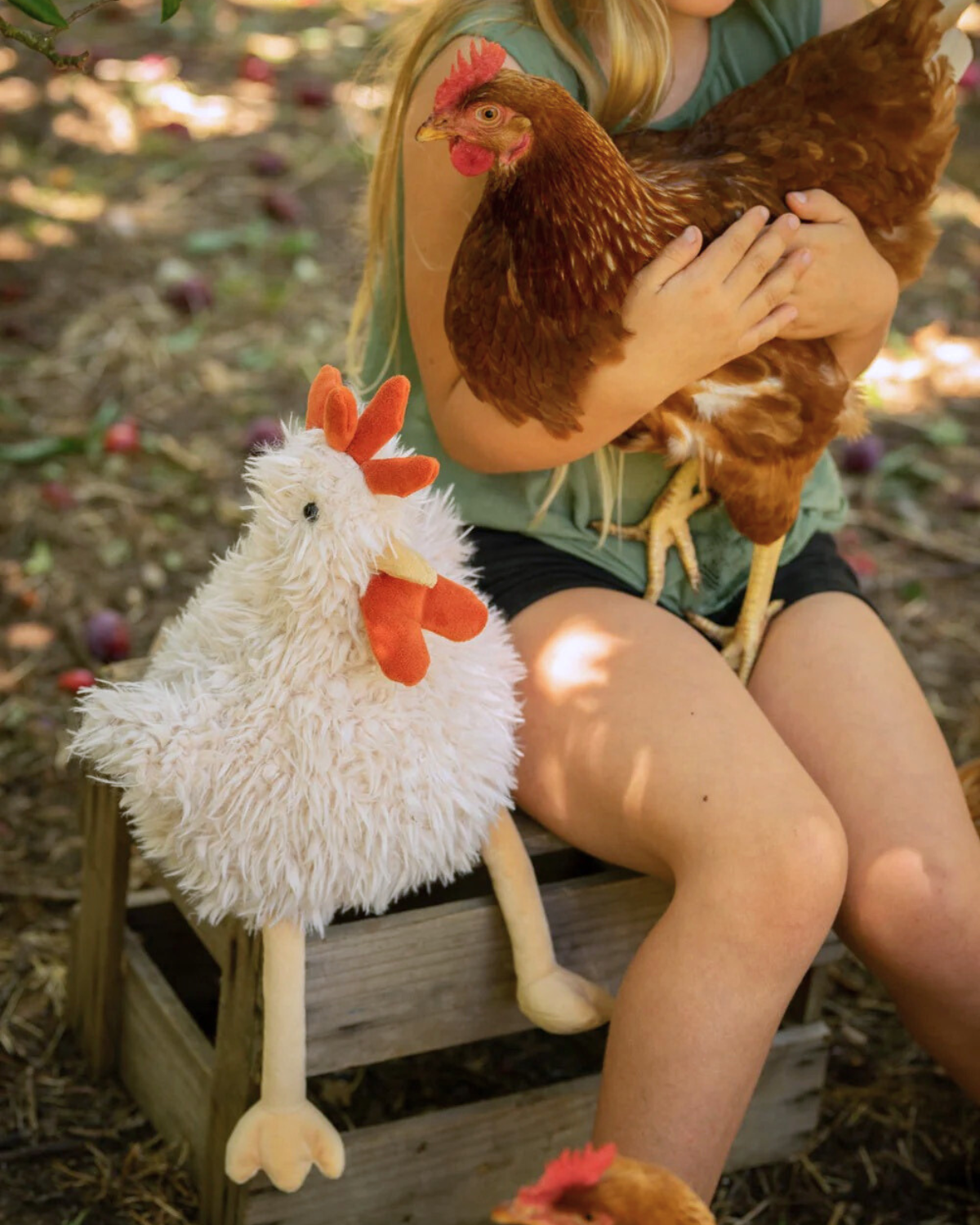 Roy the Rooster by Nana Huchy