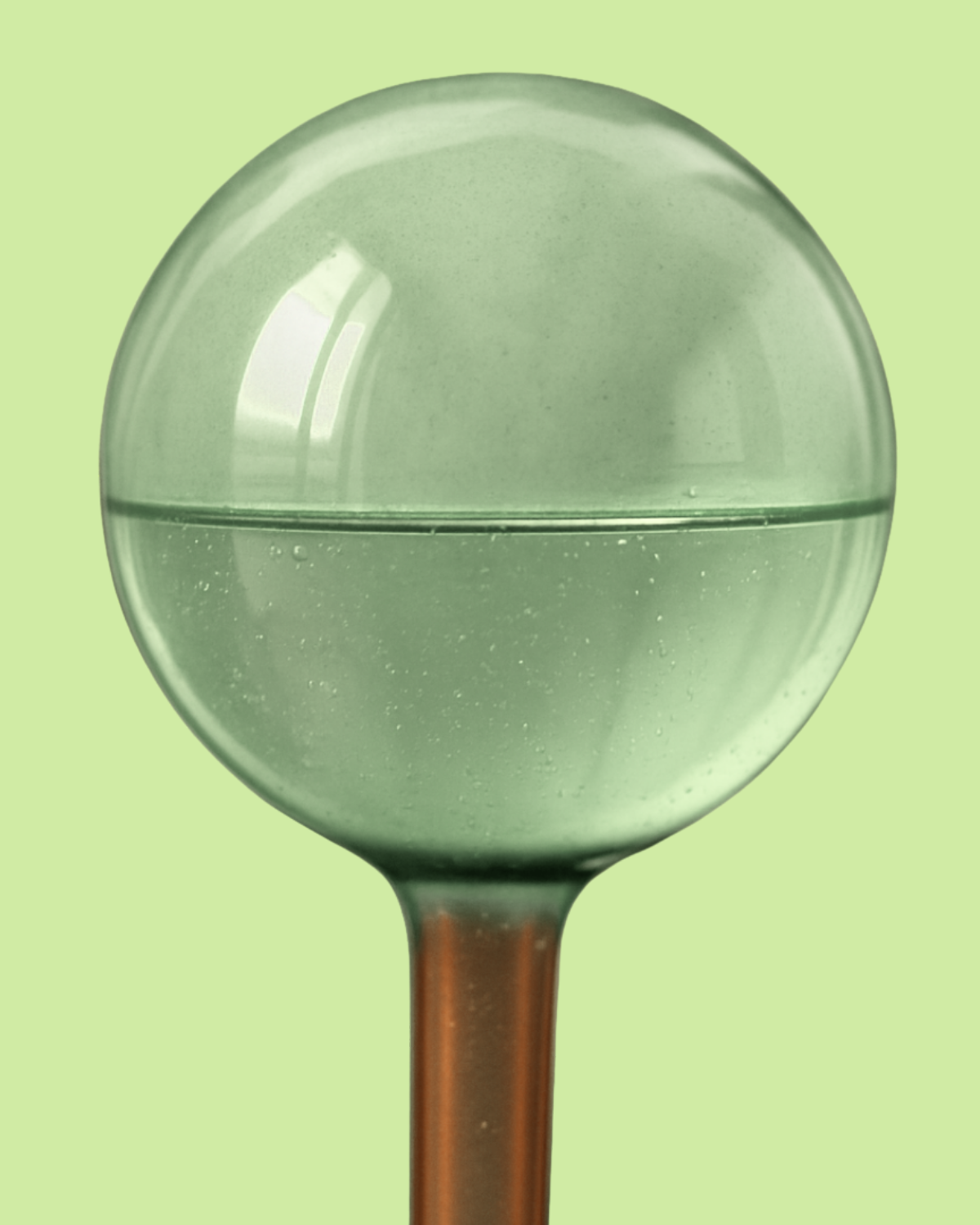Self-Watering Globe by We The Wild