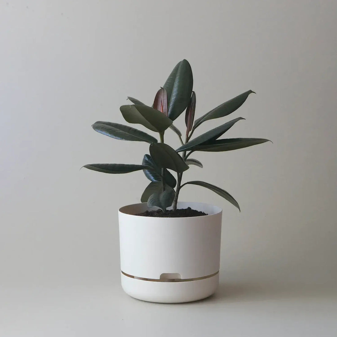 Mr Kitly Selfwatering Plant Pot - White Linen