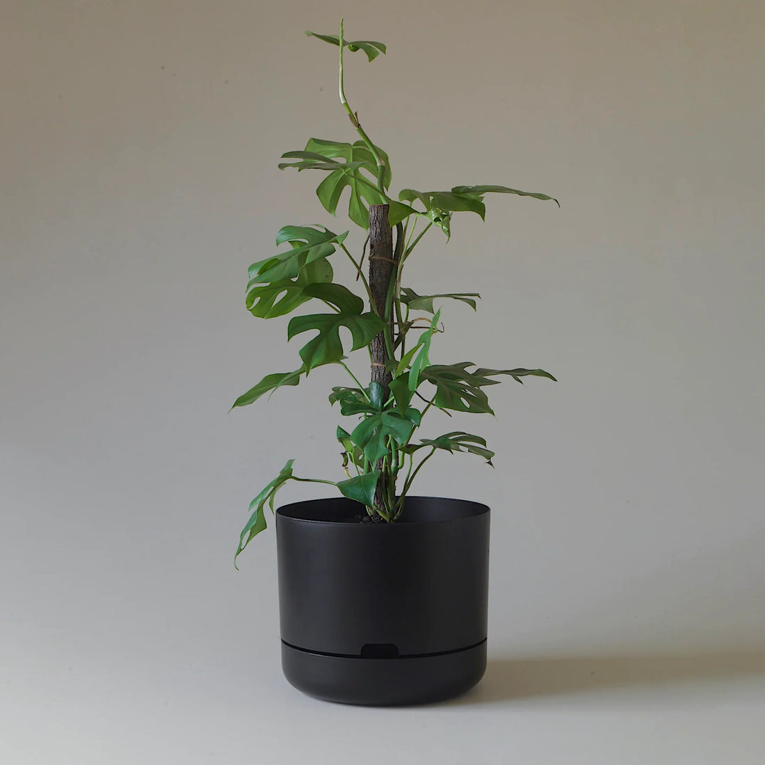 Selfwatering Plant Pots - Recycled Black