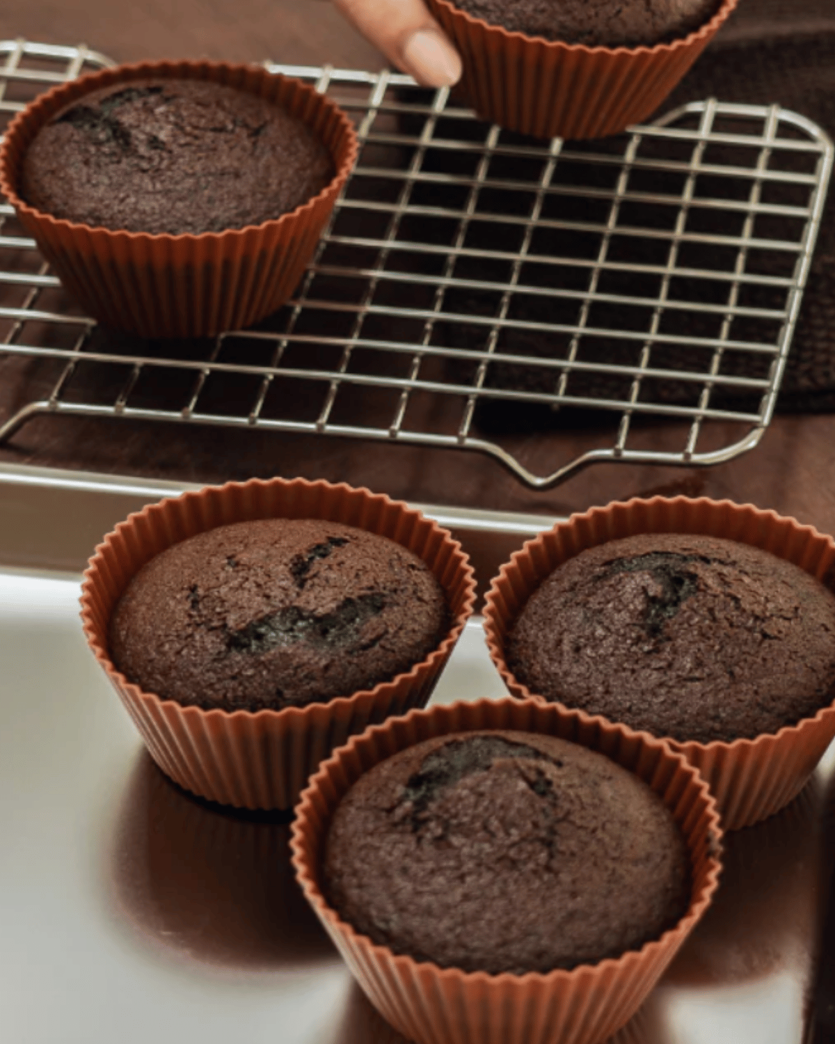 Seed & Sprout Silicone Muffin Cups - Large
