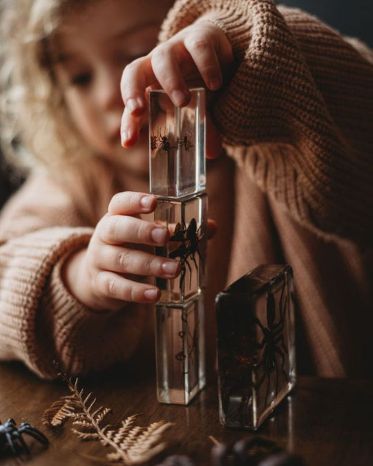 Kids Spider Specimen Set by Our Earth Life