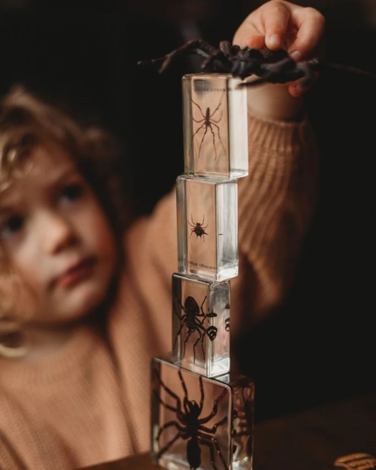 Kids Spider Specimen Set by Our Earth Life