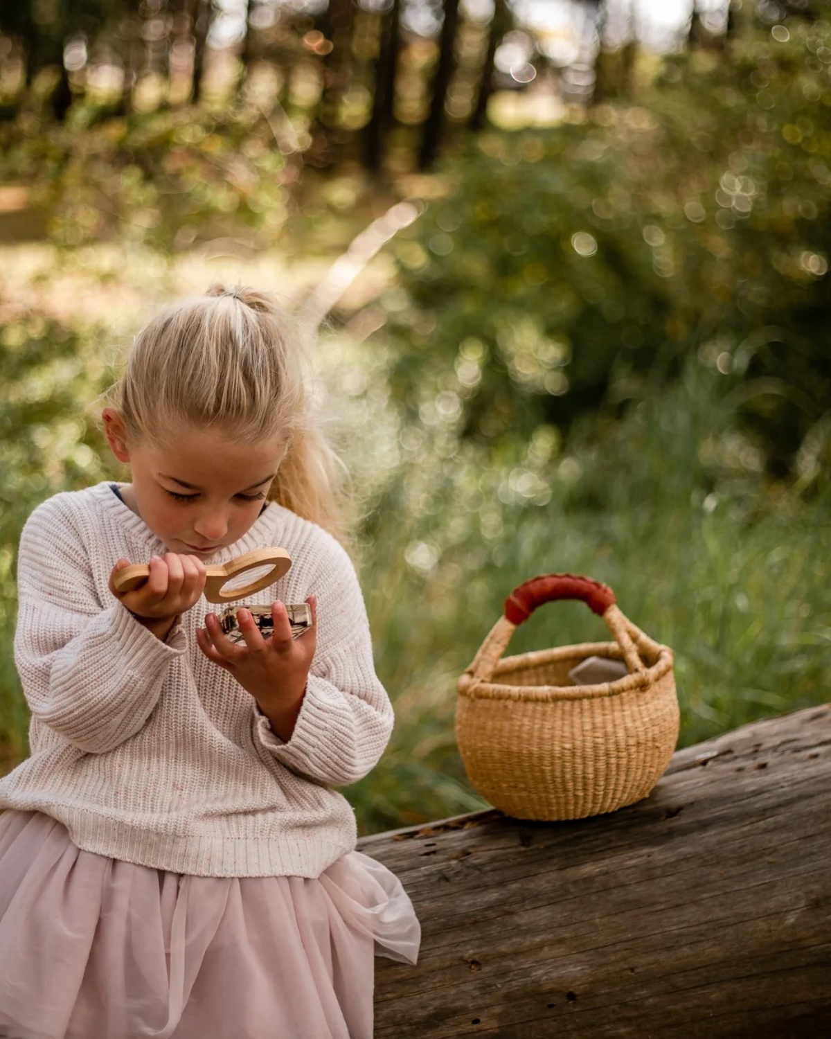 Kids Spider Specimen Set by Our Earth Life