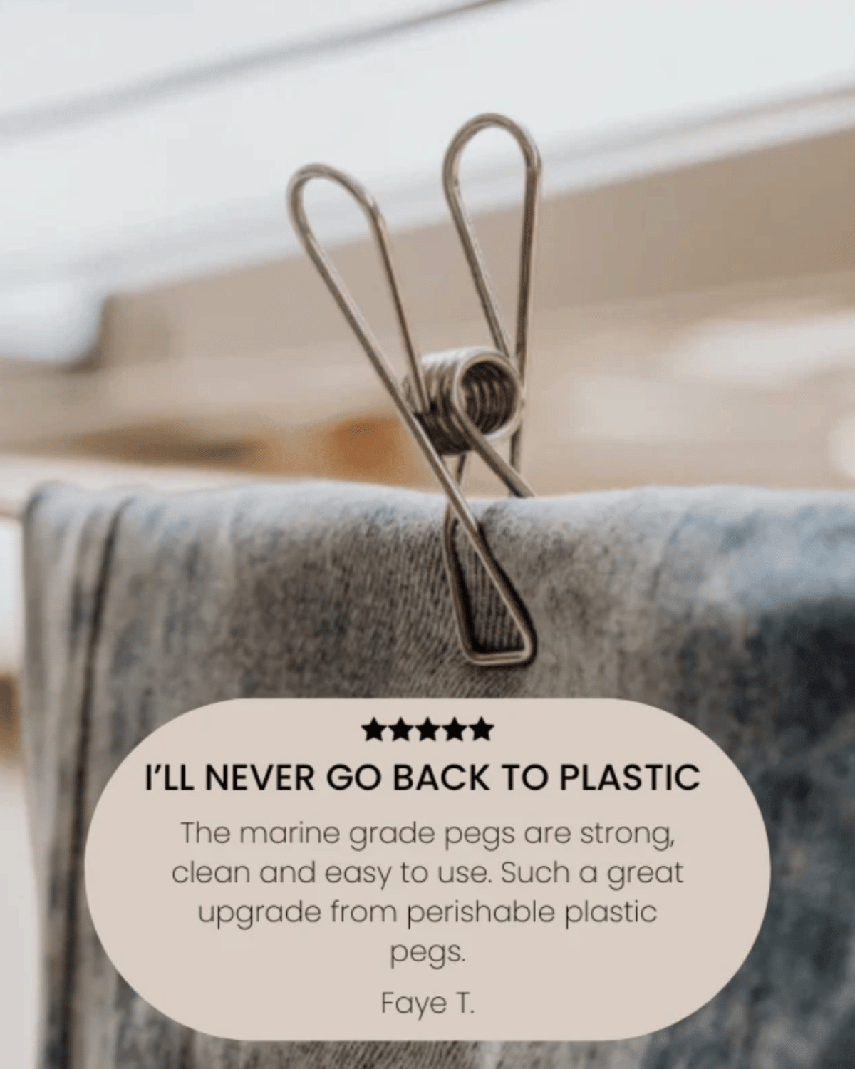 Seed & Sprout Stainless Steel Pegs (20pk)