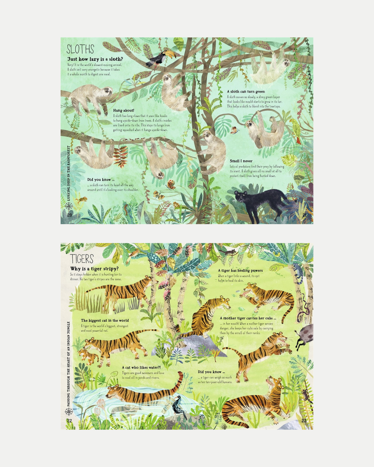 The Big Book of Beasts - Children&