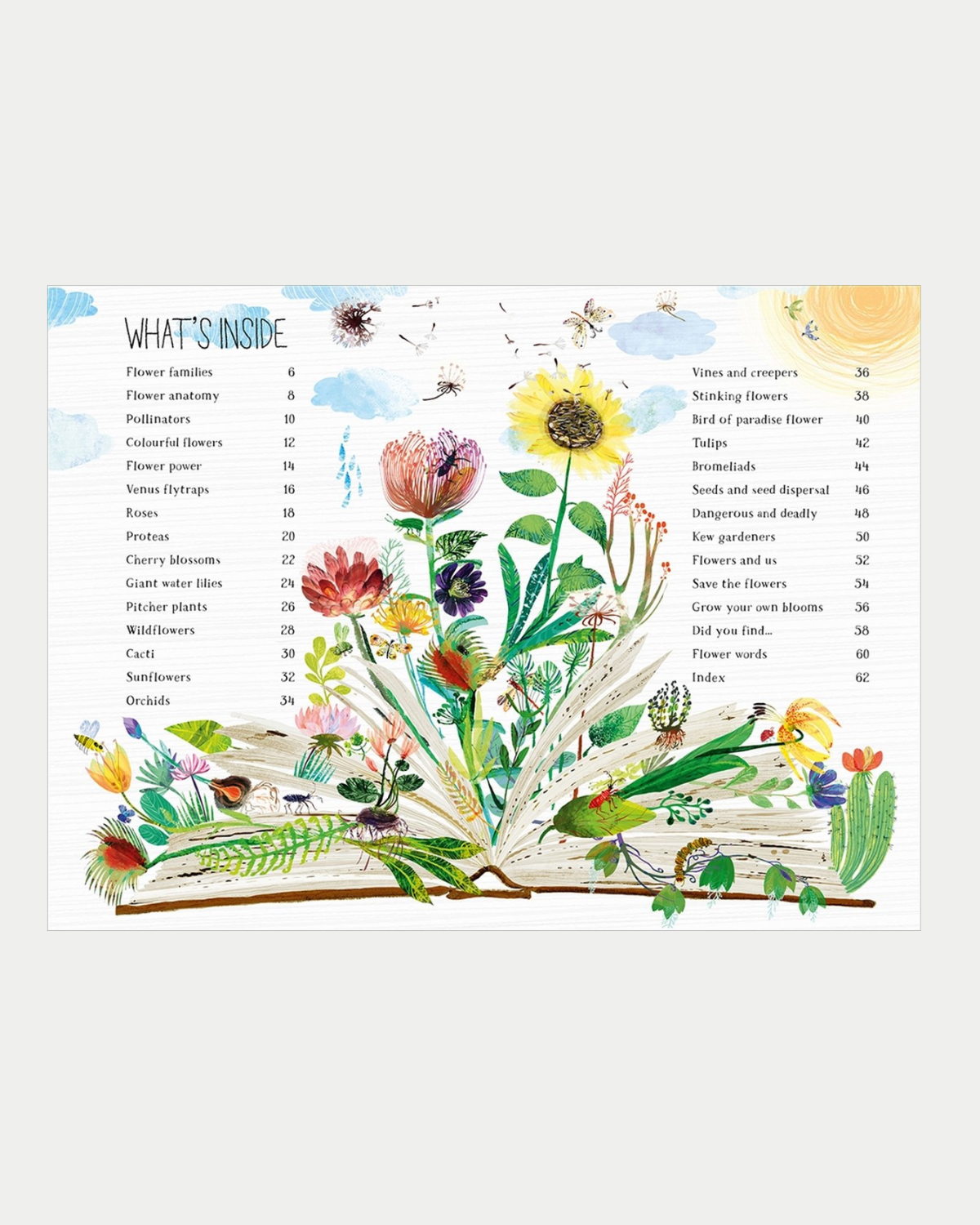 The Big Book of Blooms - Children&