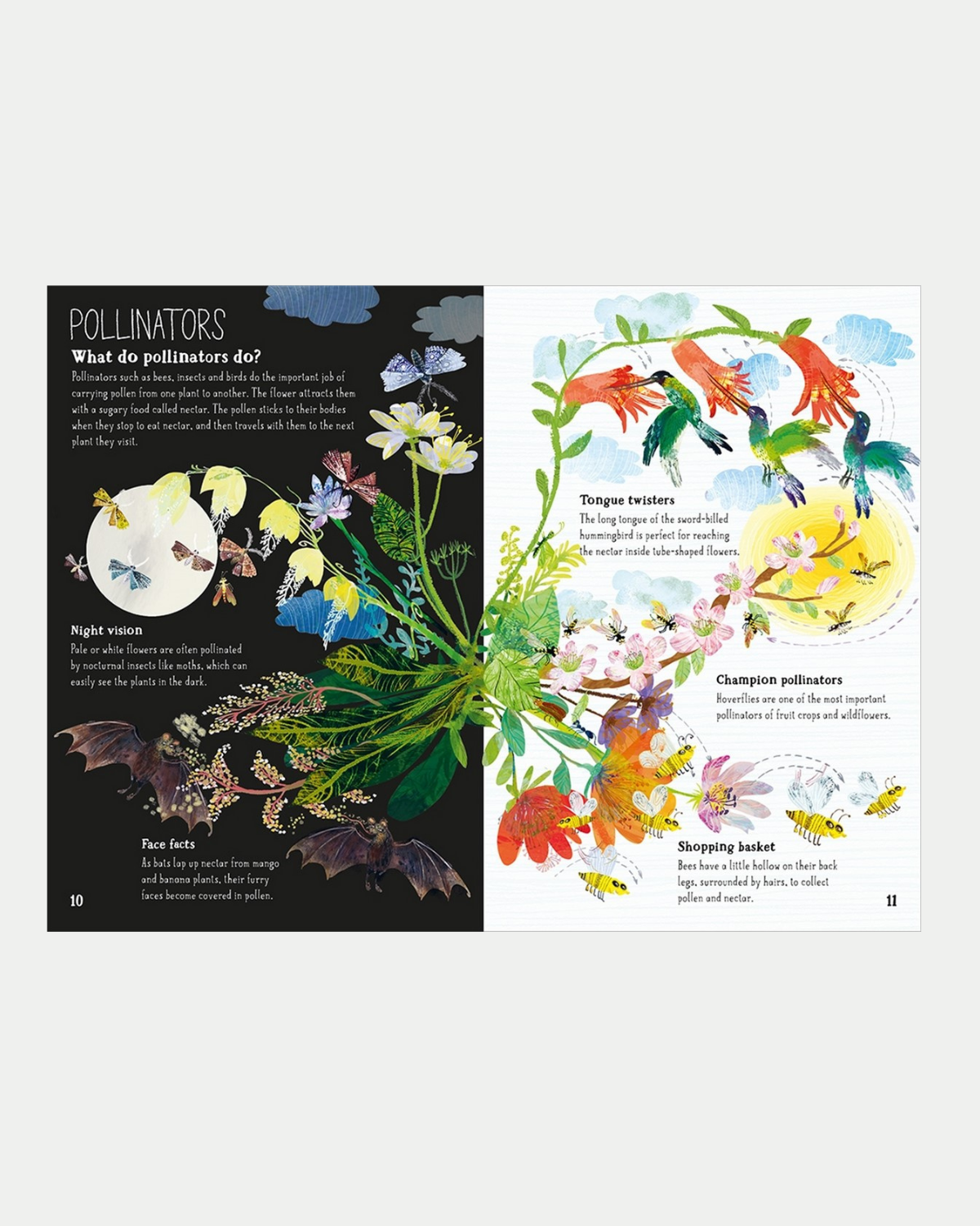 The Big Book of Blooms - Children&