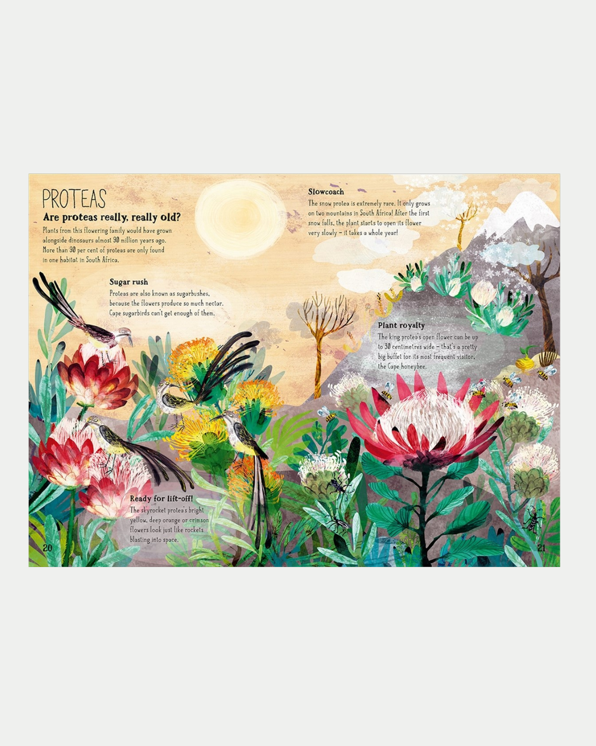 The Big Book of Blooms - Children&