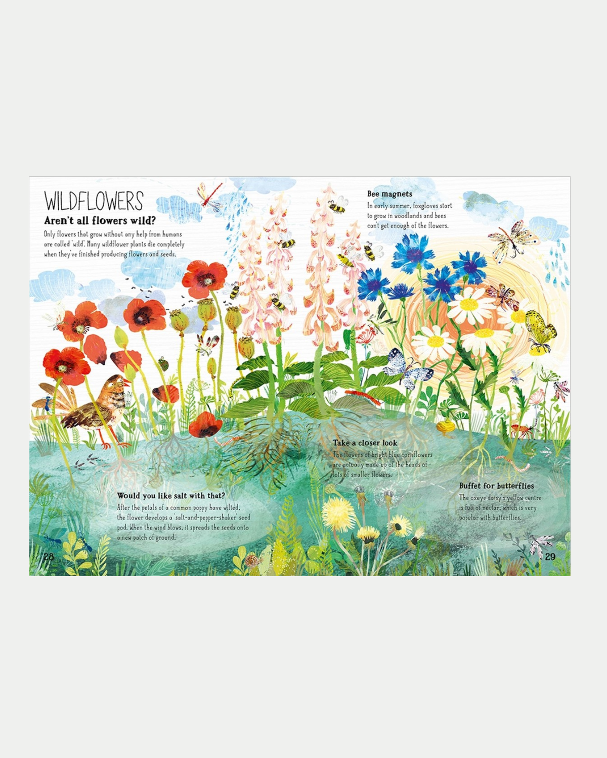 The Big Book of Blooms - Children&