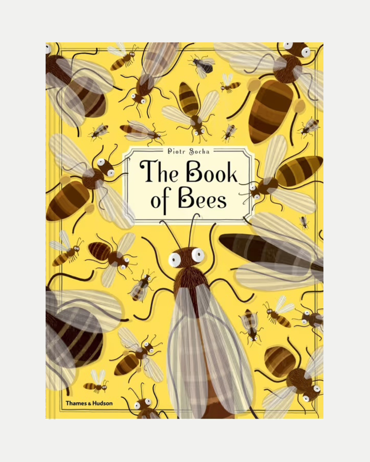 The Book of Bees ❘ Book by Piotr Socha