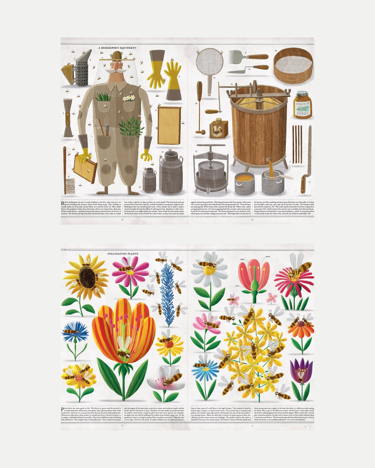 The Book of Bees ❘ Book by Piotr Socha