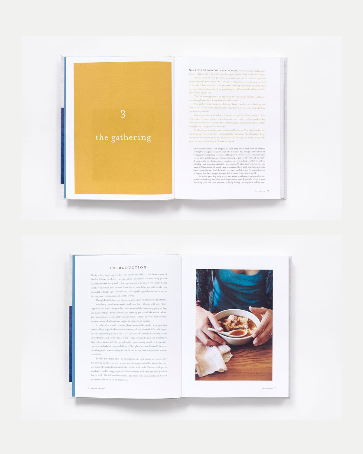 The First Forty Days - The Essential Art of Nourishing the New Mother