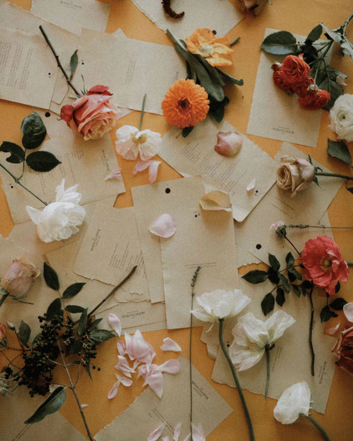 The Moonflower Monologues Poetry Book by Tess Guinery