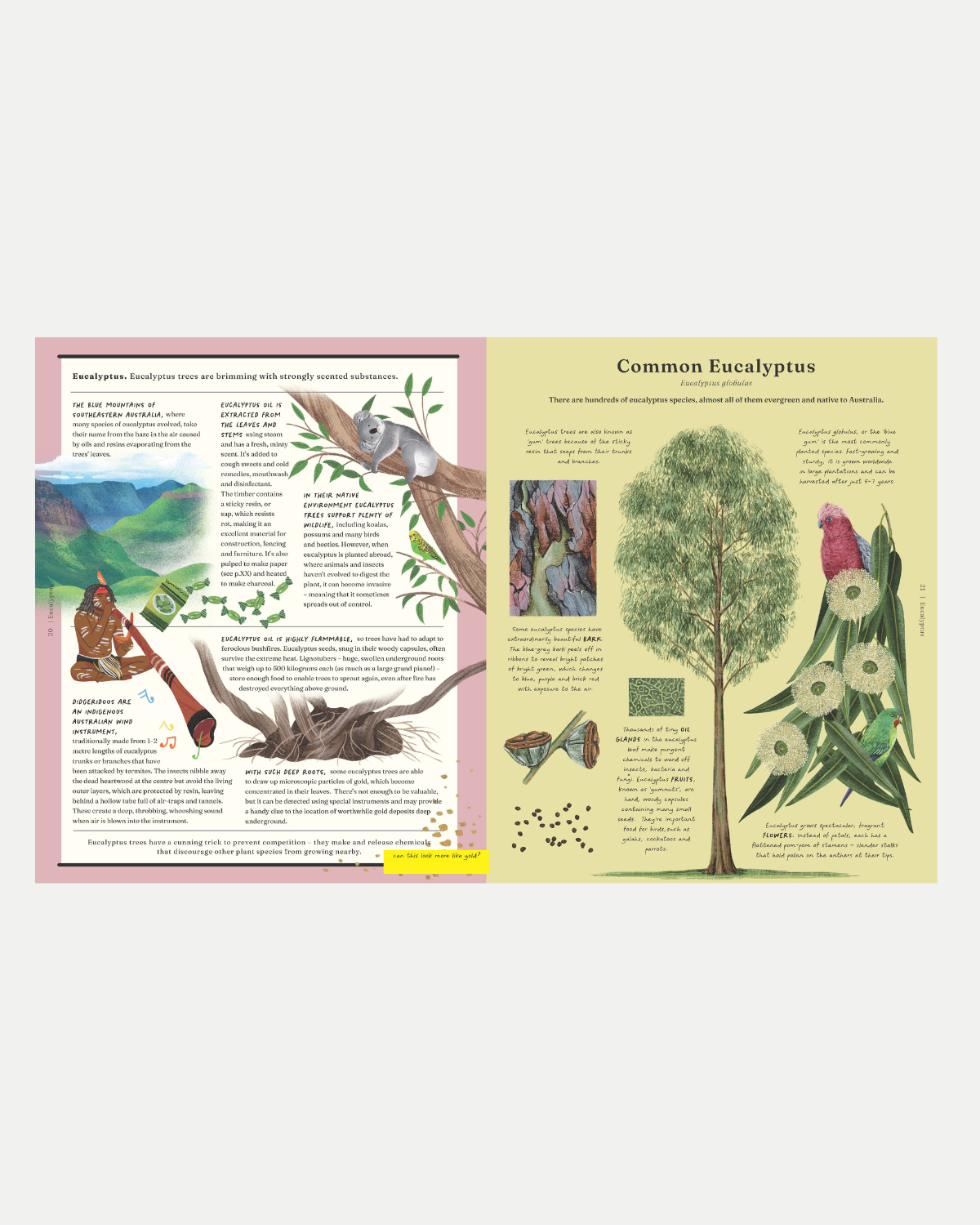 The Stuff that Stuff is Made of Children&