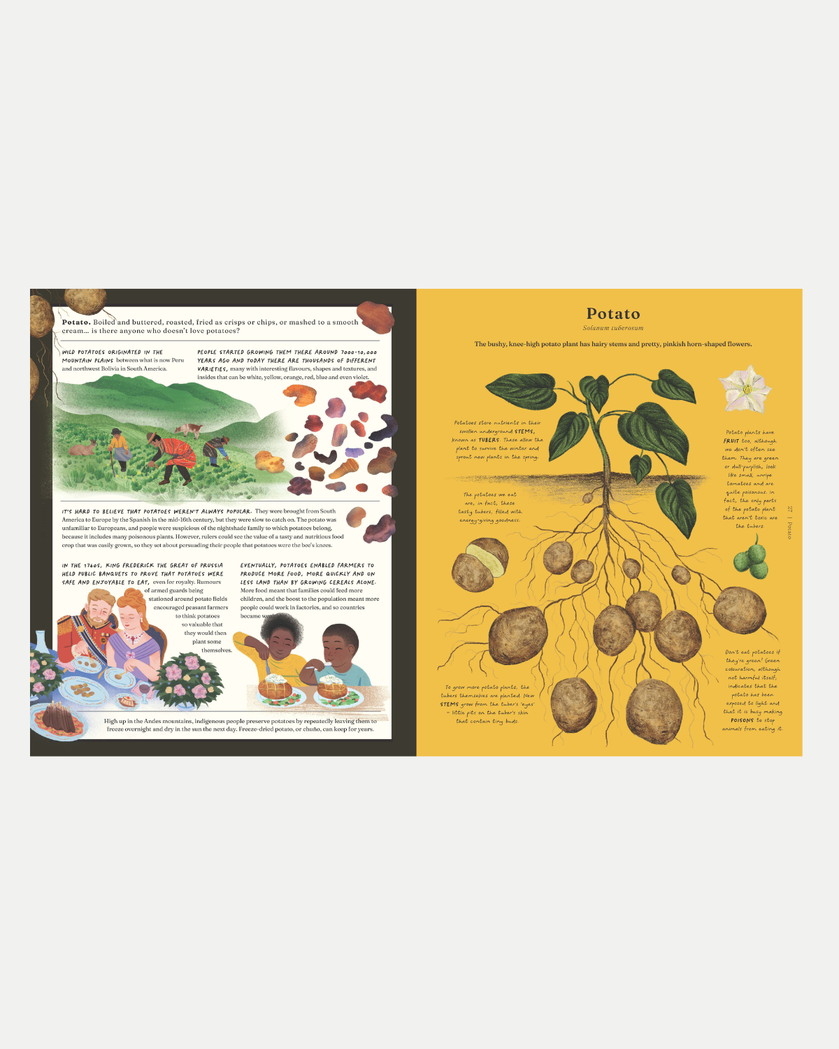 The Stuff that Stuff is Made of Children&