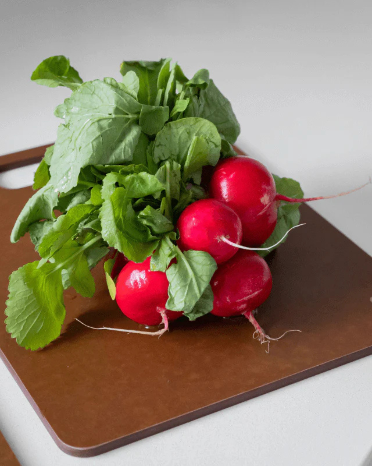 Seed & Sprout Wood Fibre Chopping Board Trio - Nutmeg