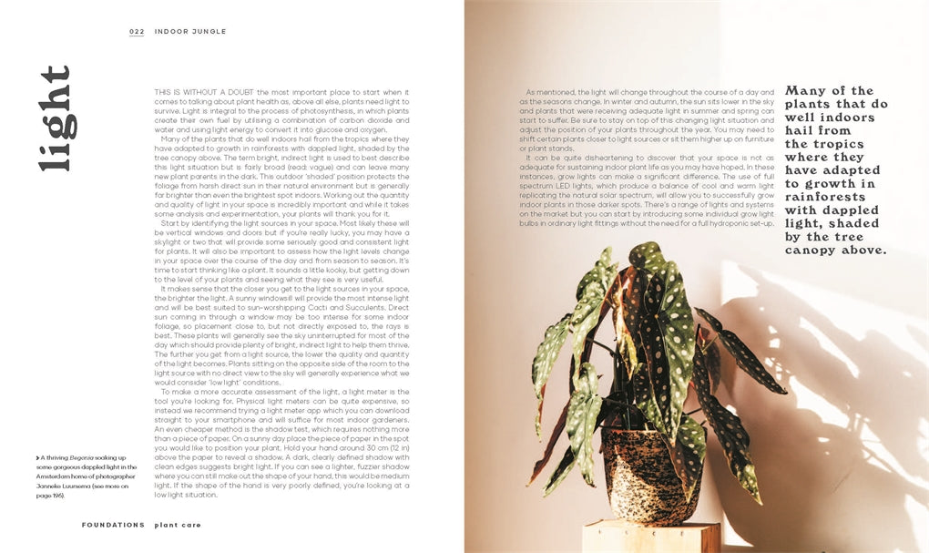 Leaf Supply Guide to Creating Your Indoor Jungle