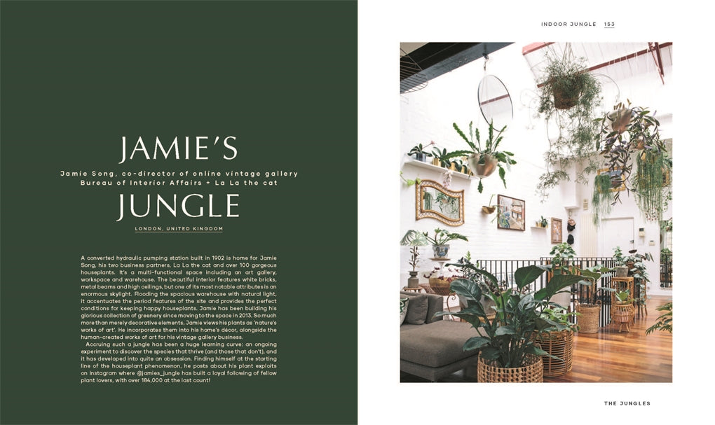 Leaf Supply Guide to Creating Your Indoor Jungle